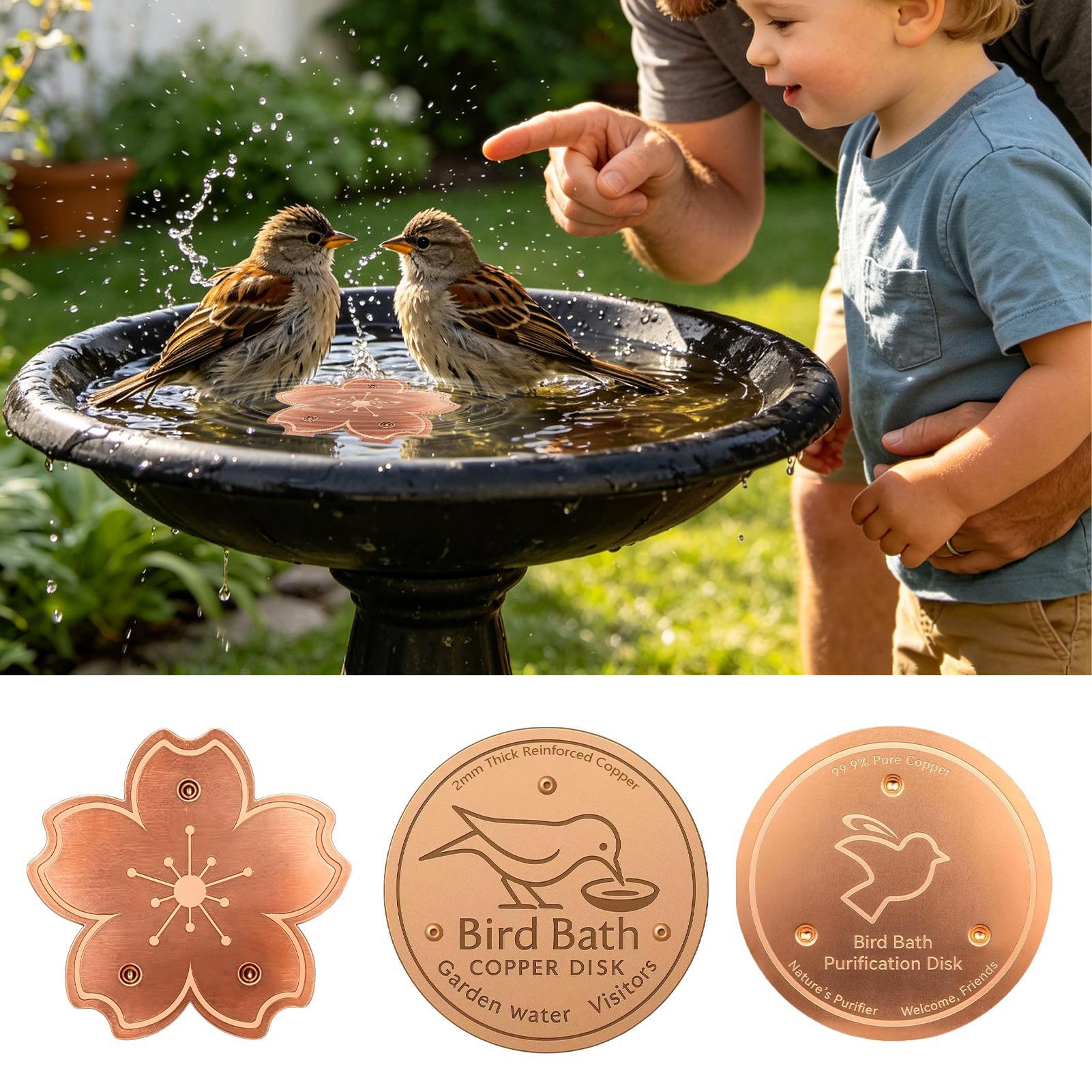 Copper For Bird Bath Safe Puri - Watch S ulasan dan harga